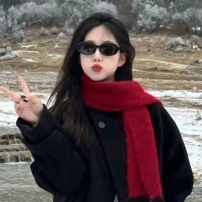 空中浩劫第十一季